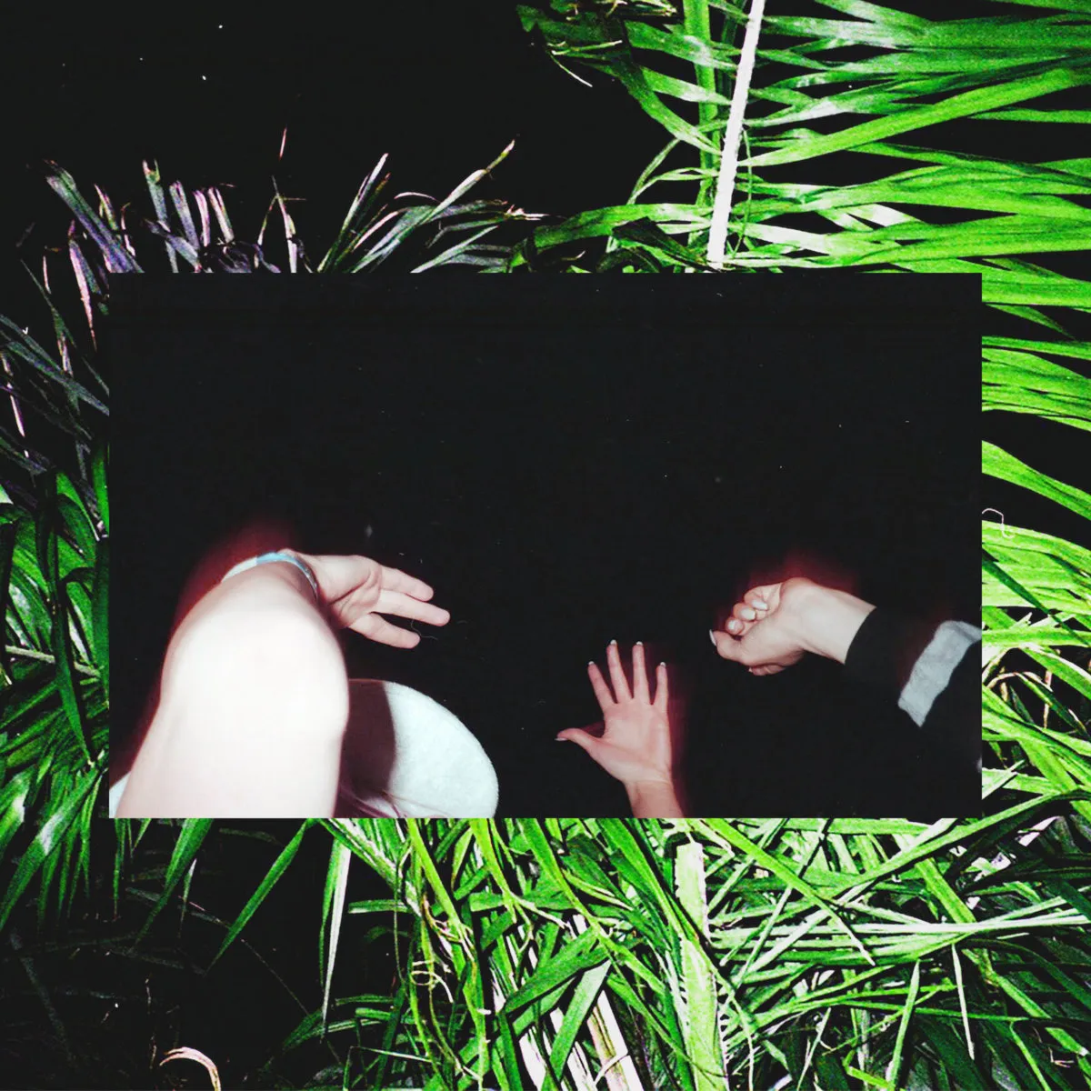 Cover art for Never Out of the Woods