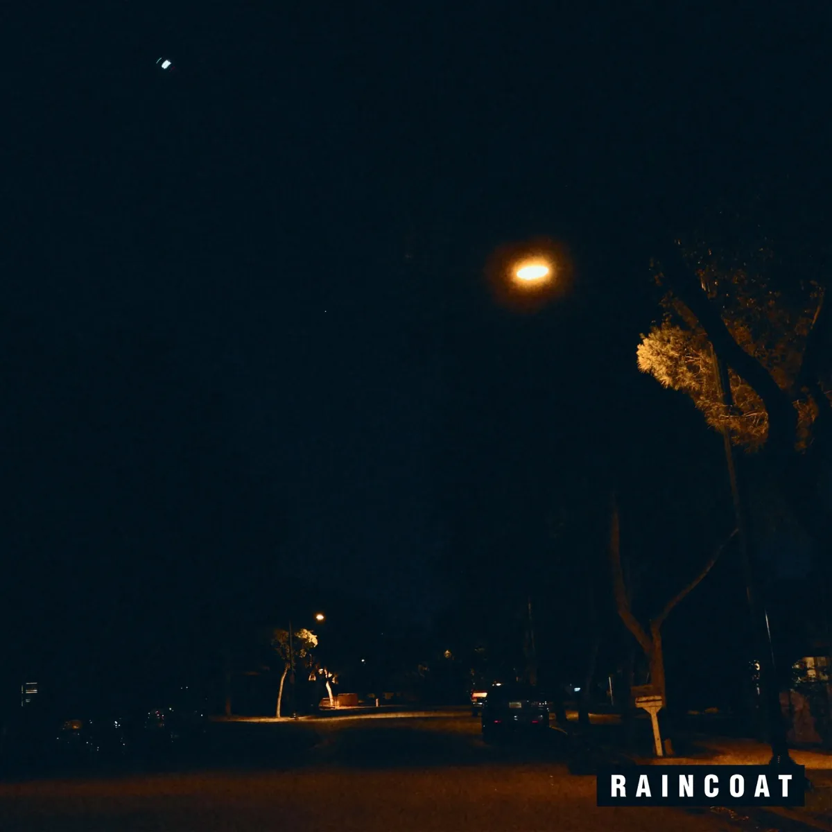 Cover art for Raincoat