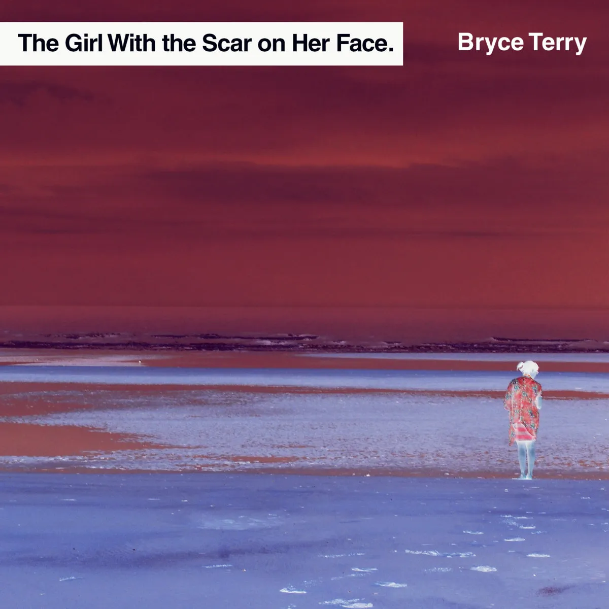Cover art for The Girl With the Scar on Her Face
